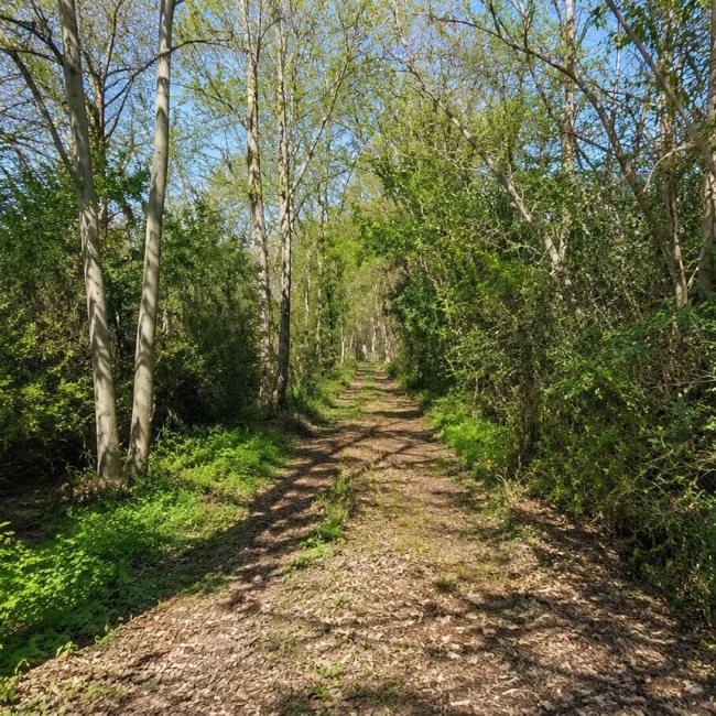 Campo en Venta 28has en Segunda sección del Delta ideal inversión desarrollo náutico 