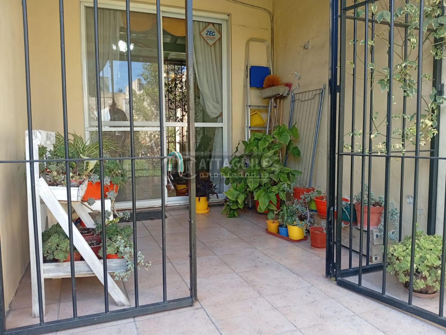 image 19