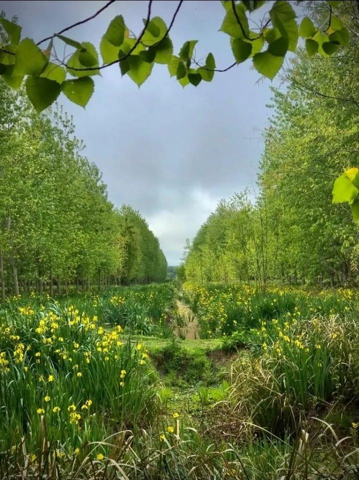 image 15