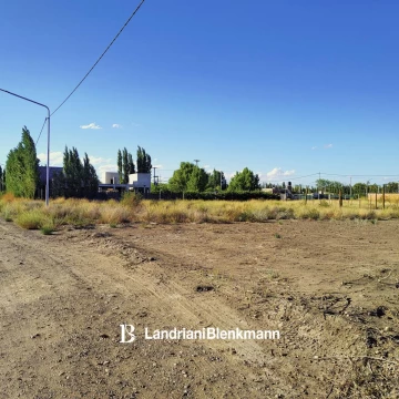 Lote 250m2 en Plottier