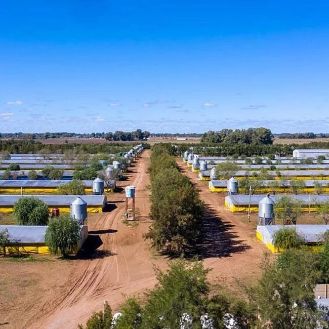 Granja avícola en Venta 30 galpones en 25 de Mayo con 10 casas para uso de personal 
