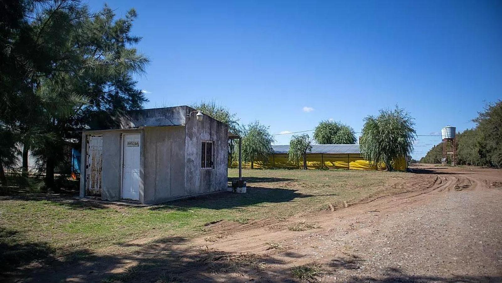 image 11