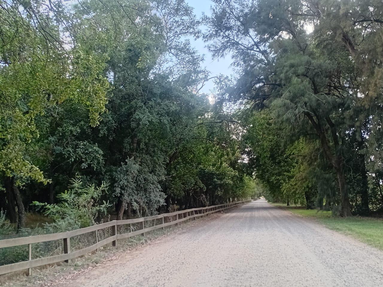 image 61