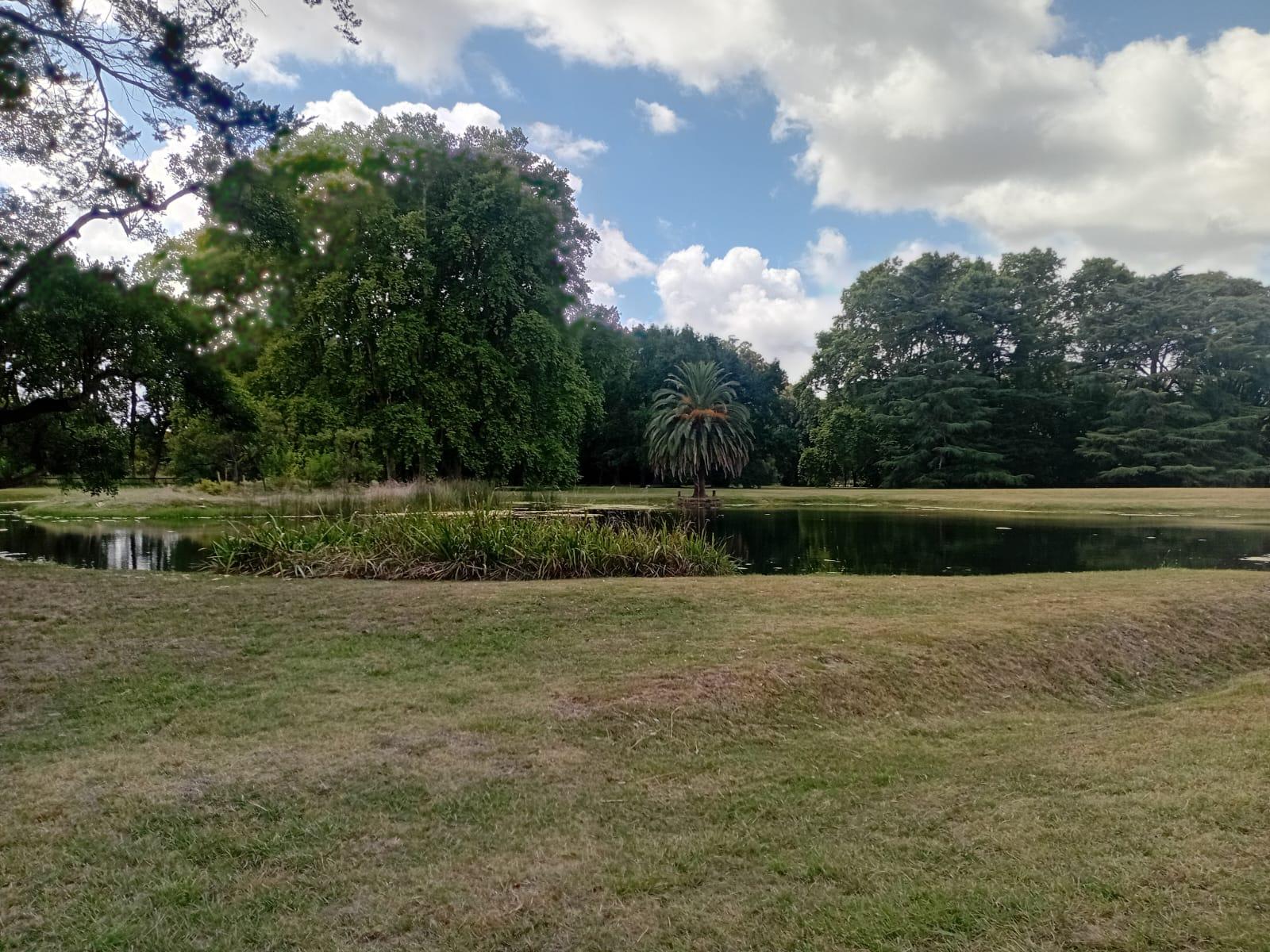 image 80