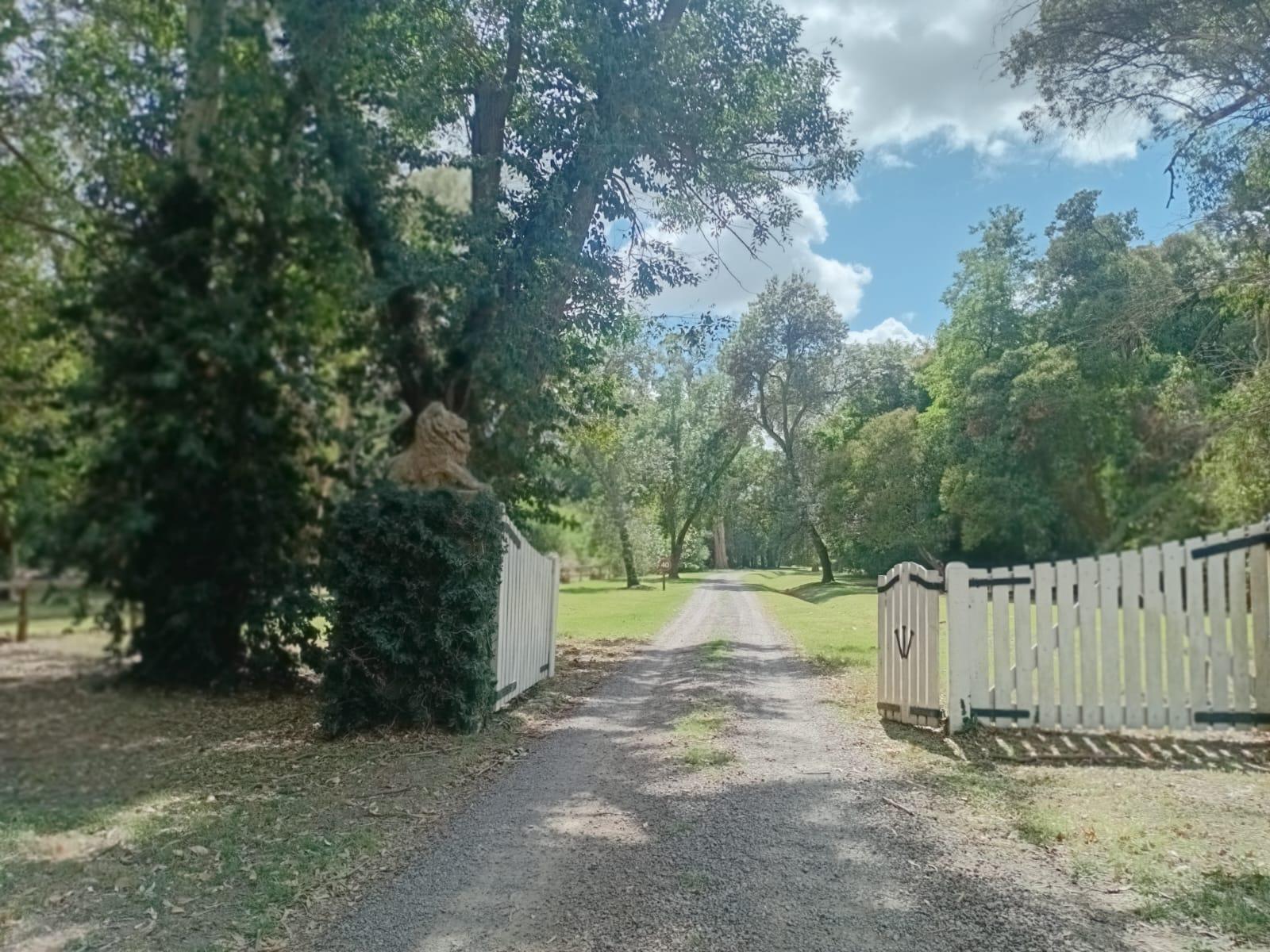 image 81