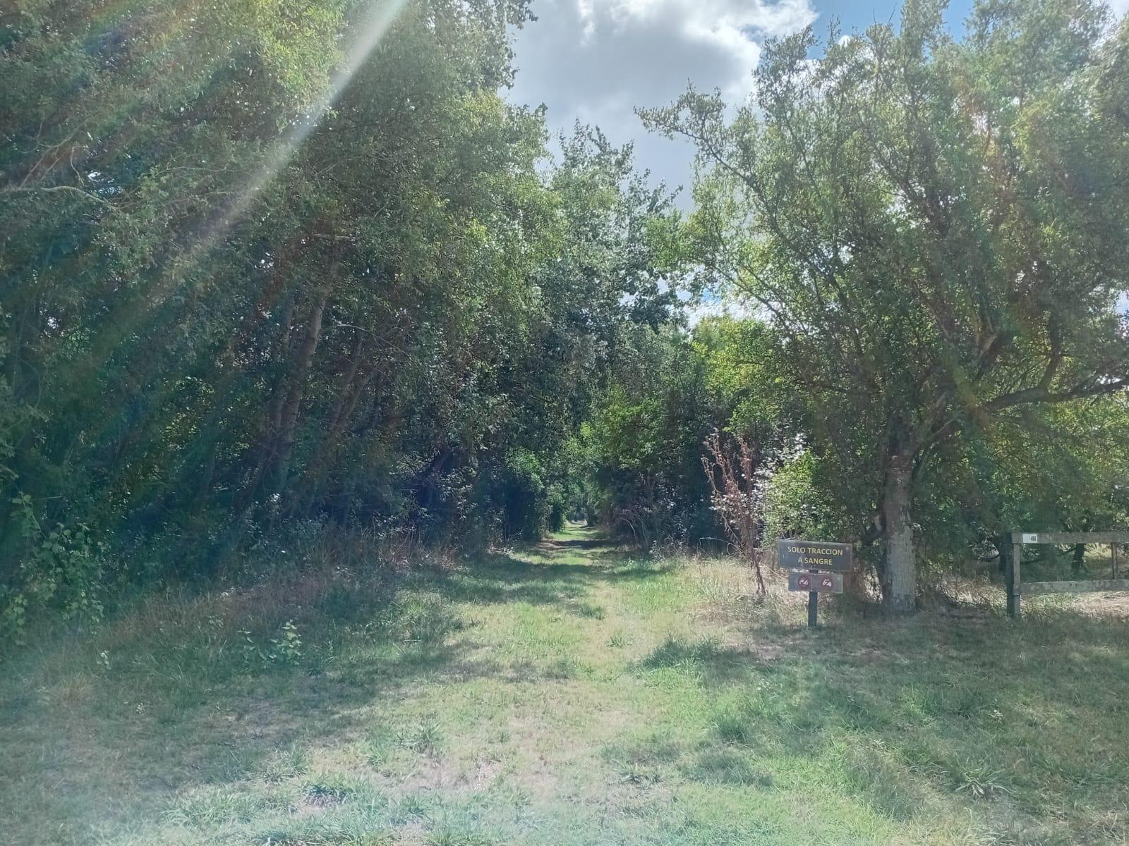 image 84