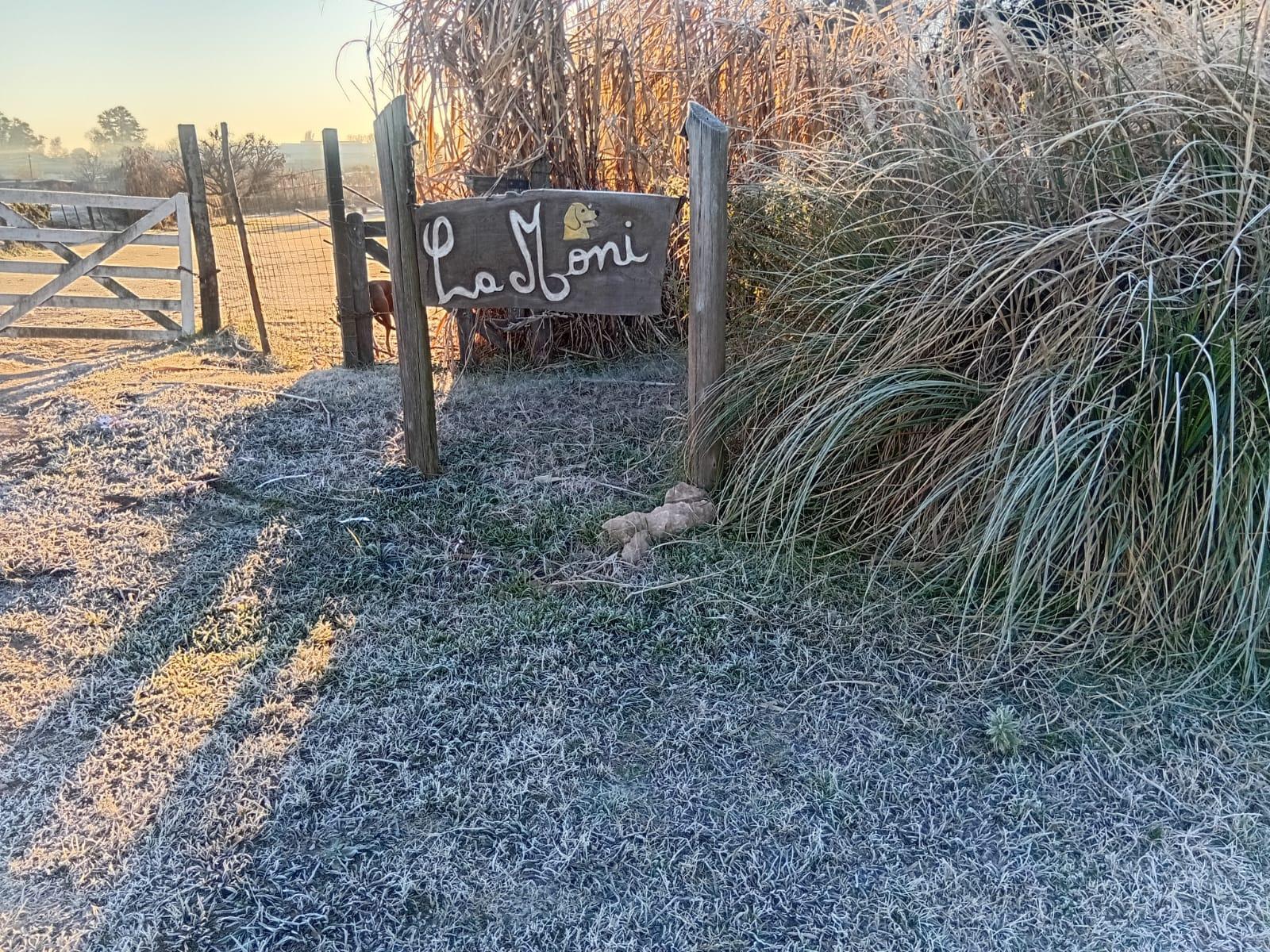 image 18