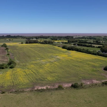 Chacra 15has en venta Colonia del Sacramento 