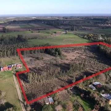 Pintoresca chacra sobre loma con monte, próxima a Colonia del Sacramento