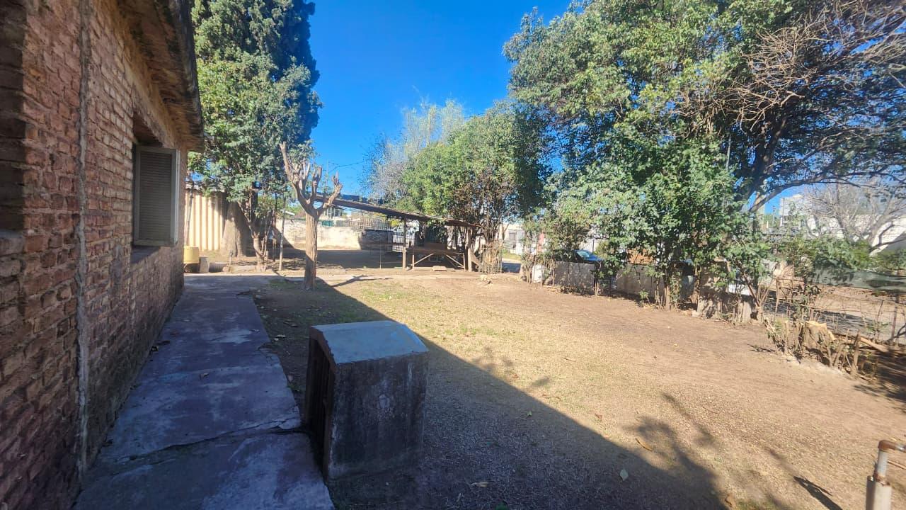 image 13