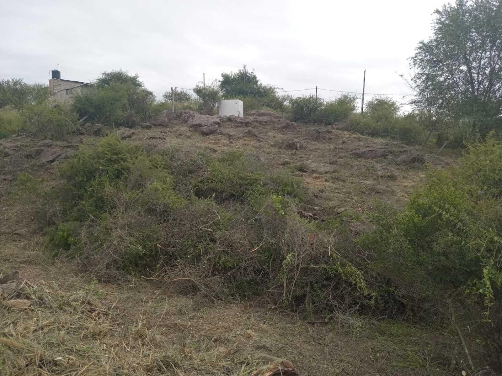 image 14