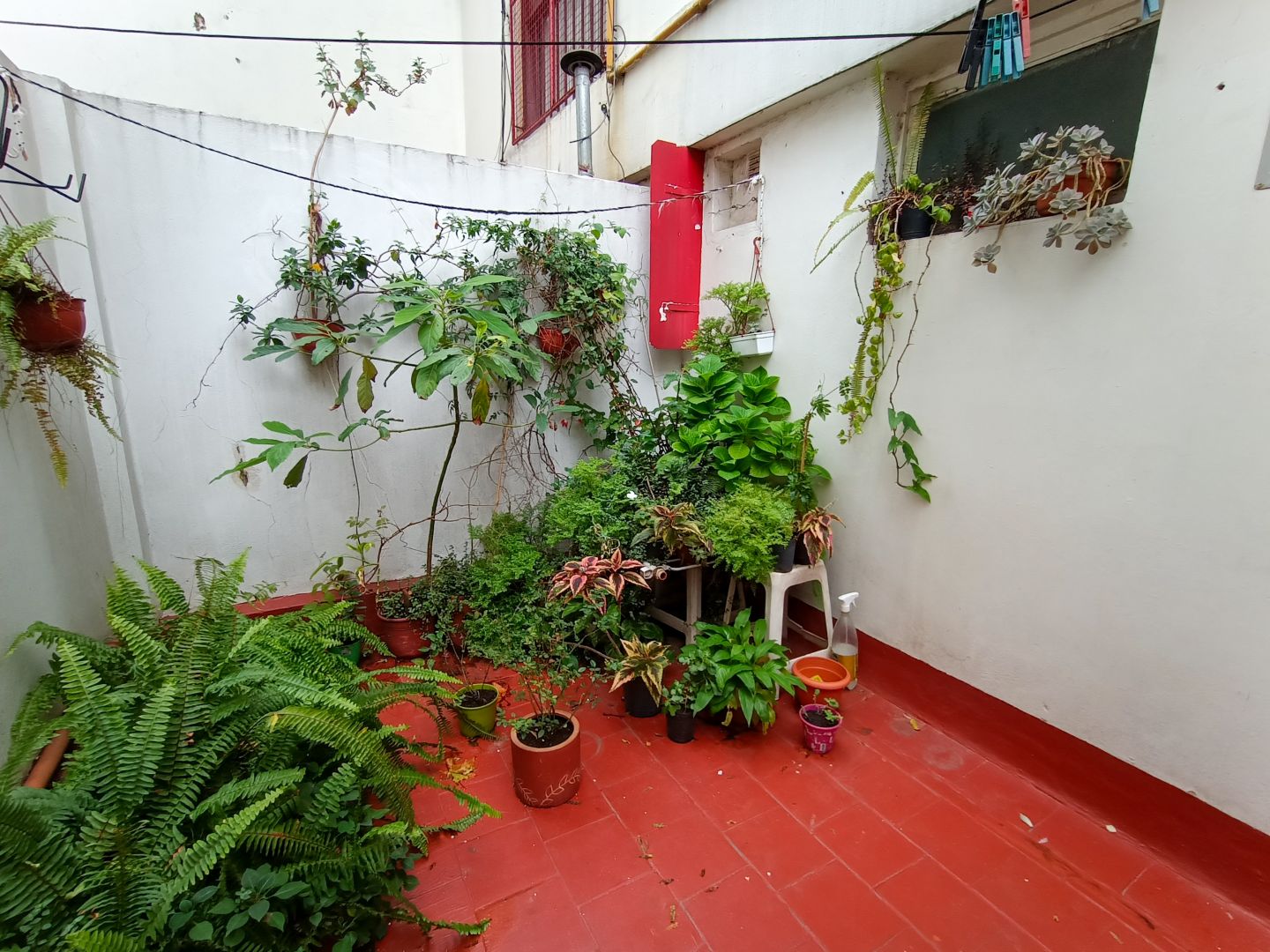 image 13