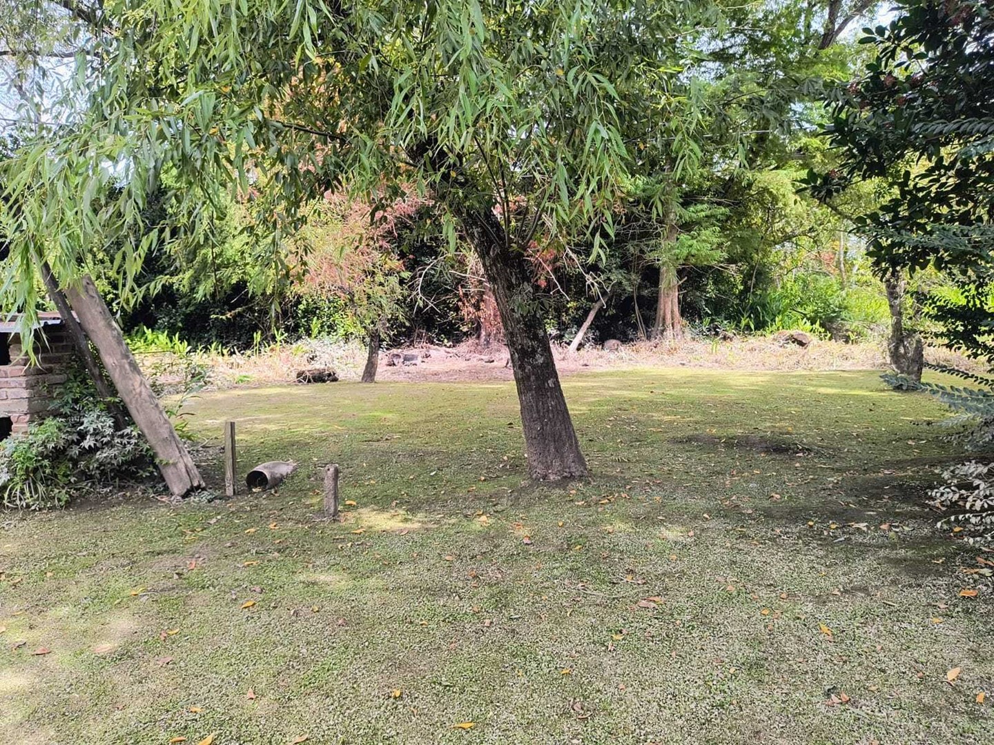 image 14