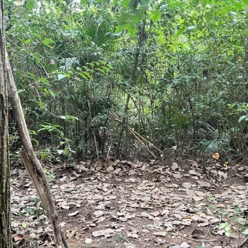 Terreno Venta en Rio/Arroyo Sarmiento