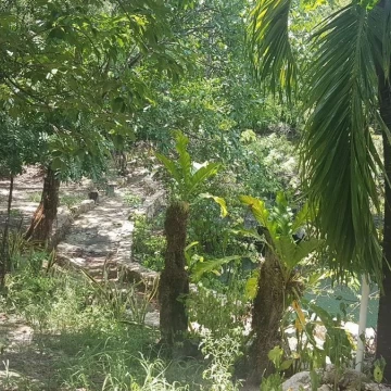 Terreno con Cenote en Venta al Sur de Cancun