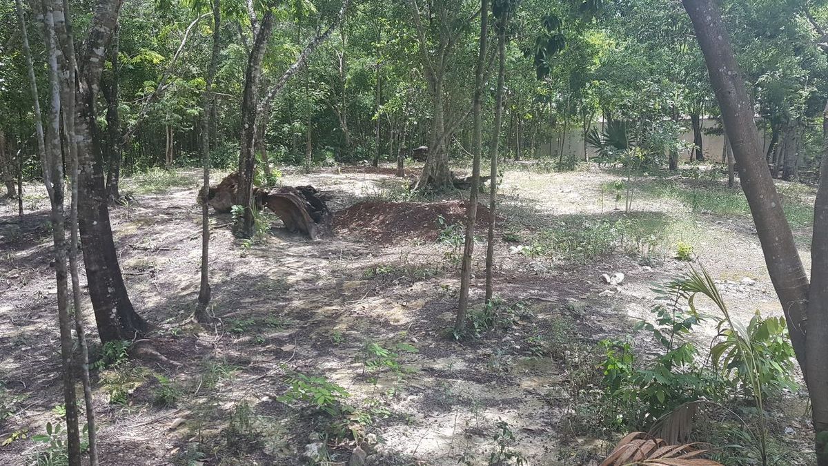 terreno en venta en la zona sur de cancun