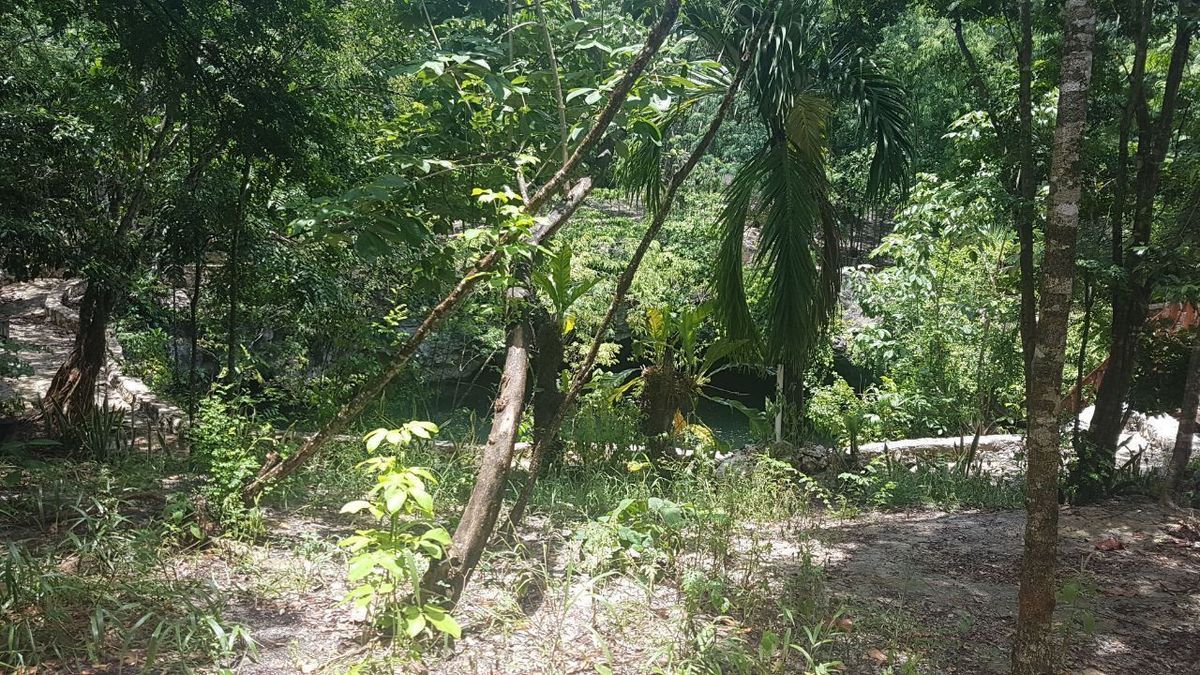 terreno en el sur de cancun