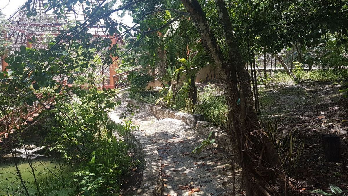 terreno en cancun con cenote