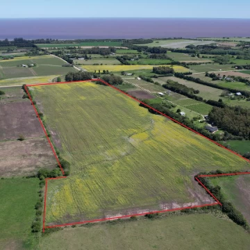 Chacra de 15 hectáreas en venta en Colonia | Potencial de fraccionamiento y producción