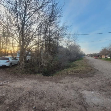 1791303135.jpg