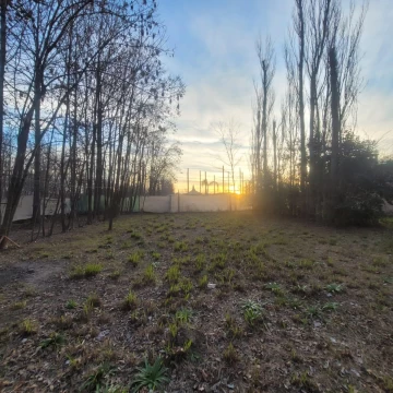 1791303136.jpg