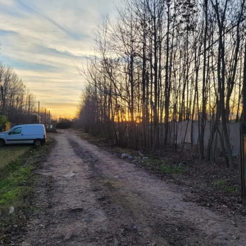 1791303138.jpg