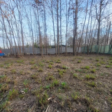 1791303138.jpg