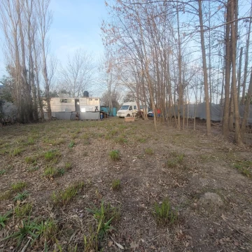 1791303138.jpg