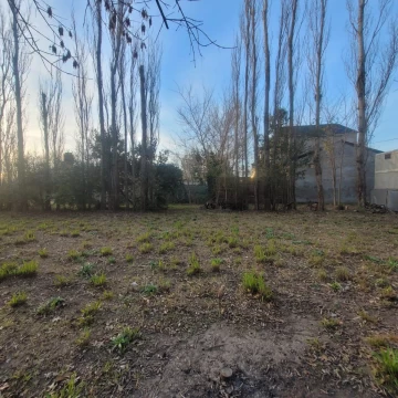 1791303139.jpg