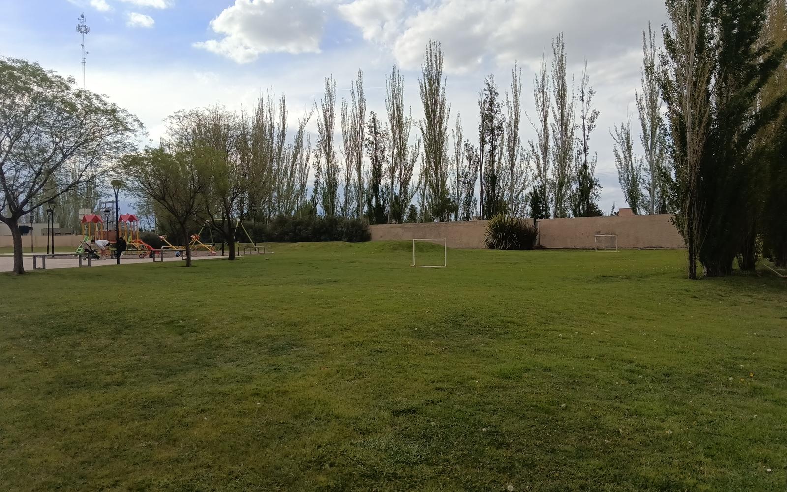 image 14