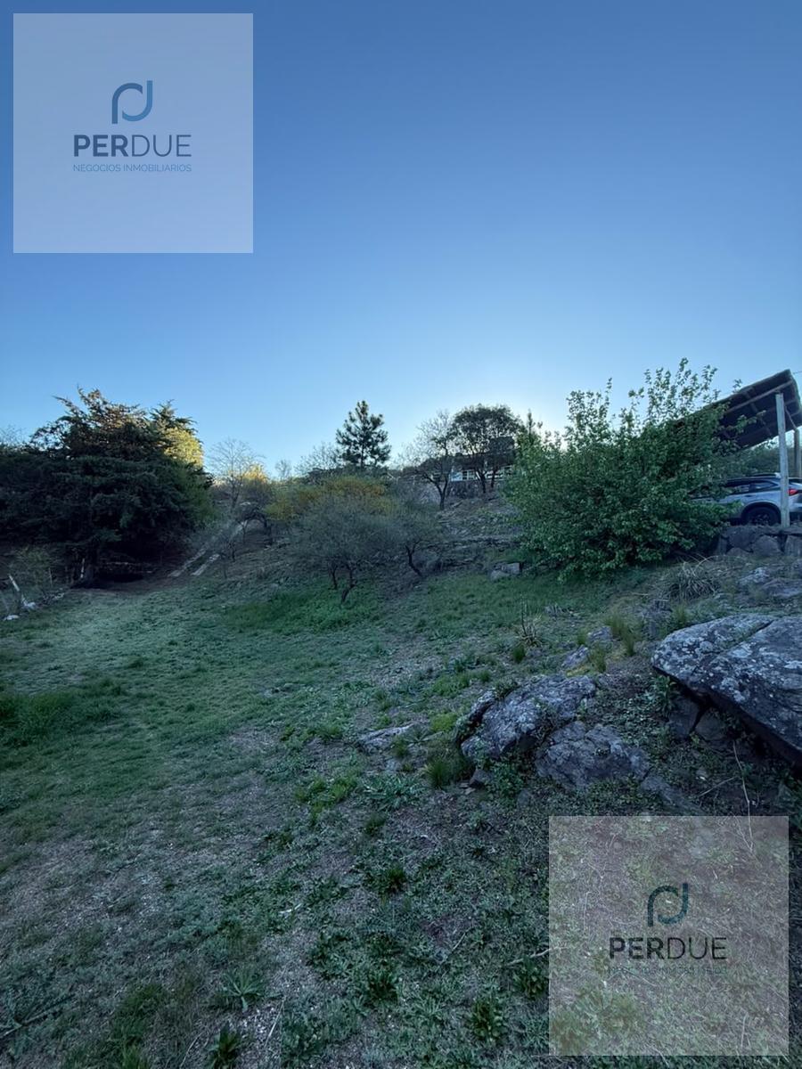 image 30