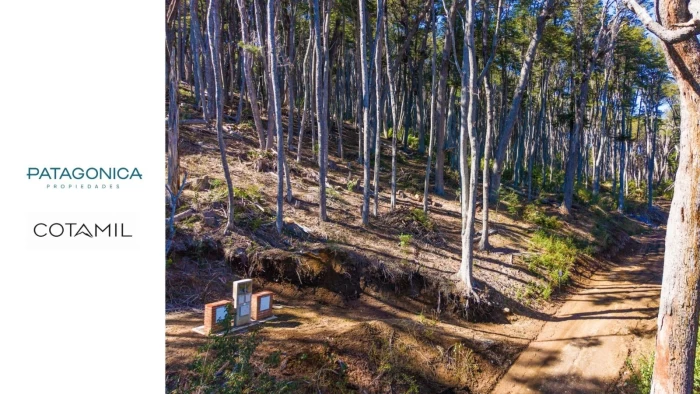 VENTA Terreno 13A, Apto 2 UF, 2.000 m2, con vista al Lago en COTA MIL