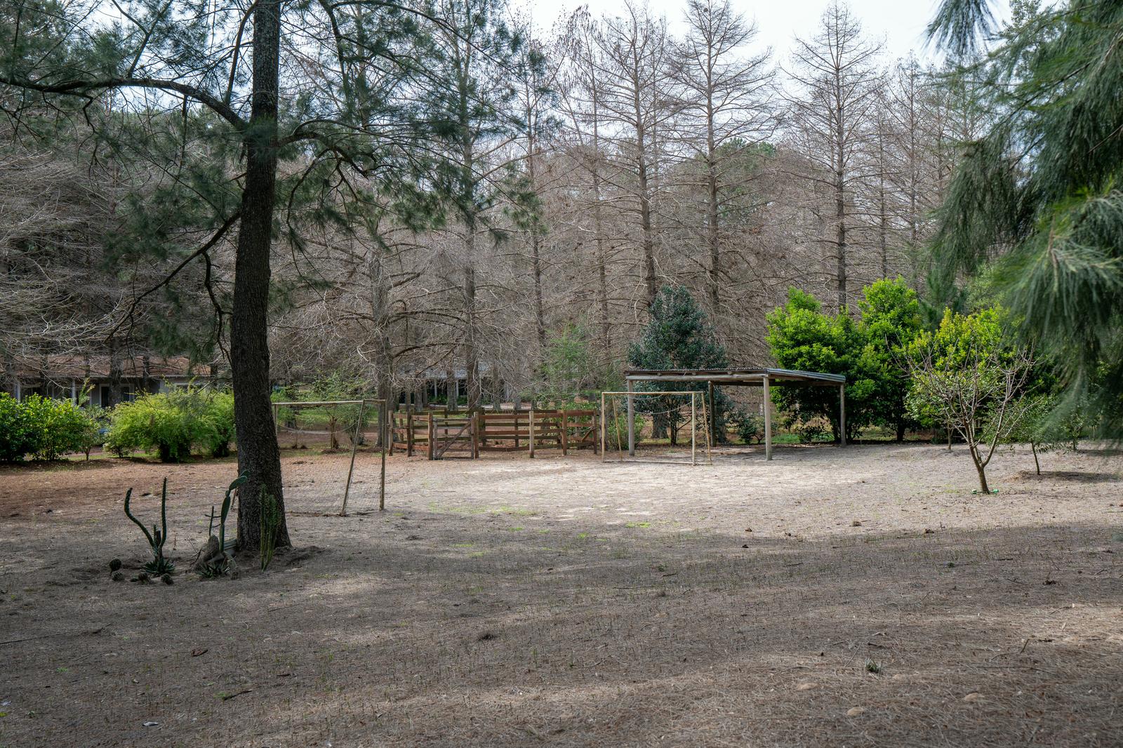 image 48