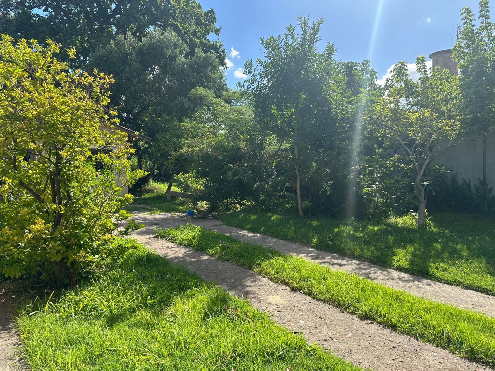 image 30
