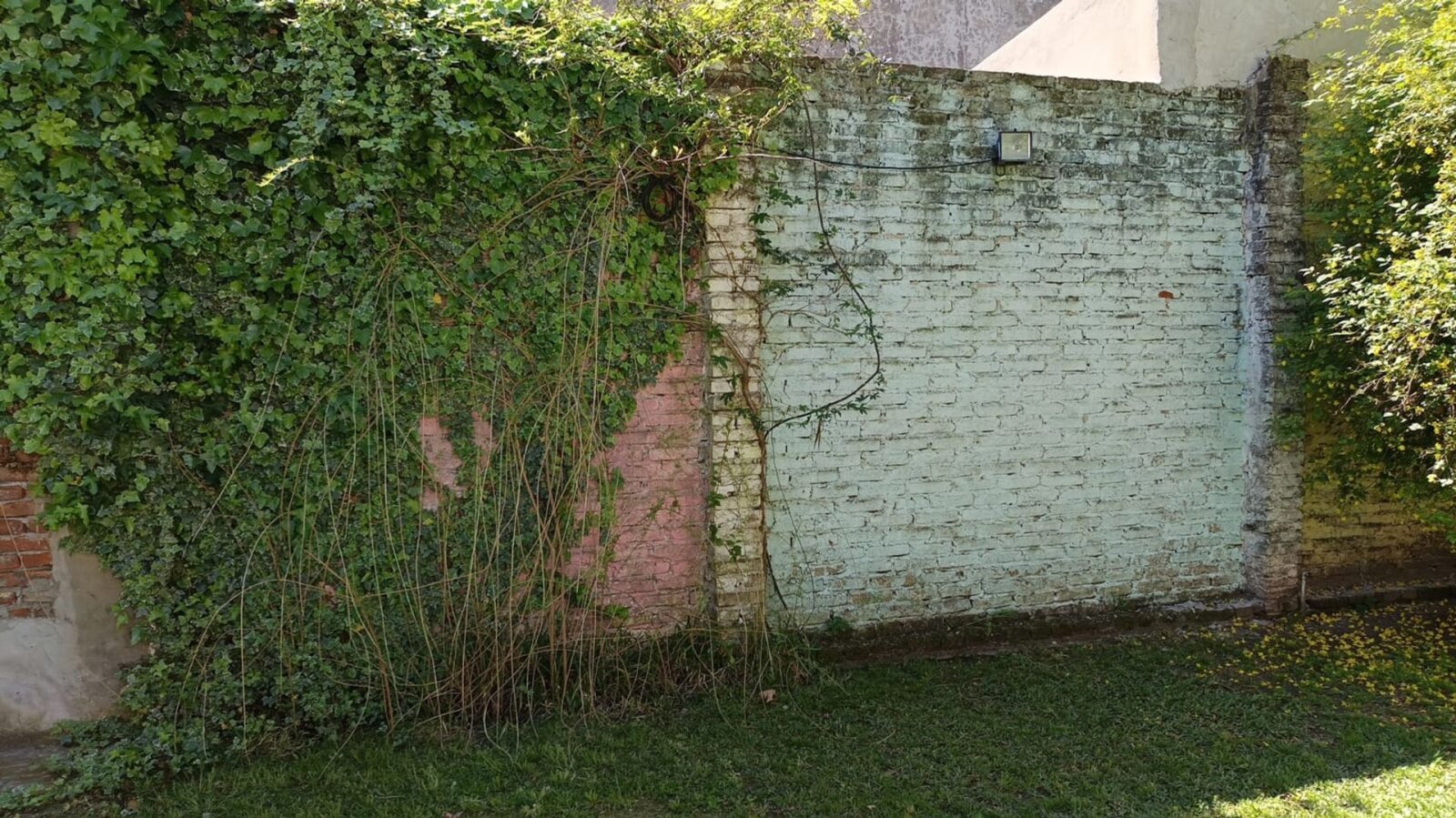 image 30