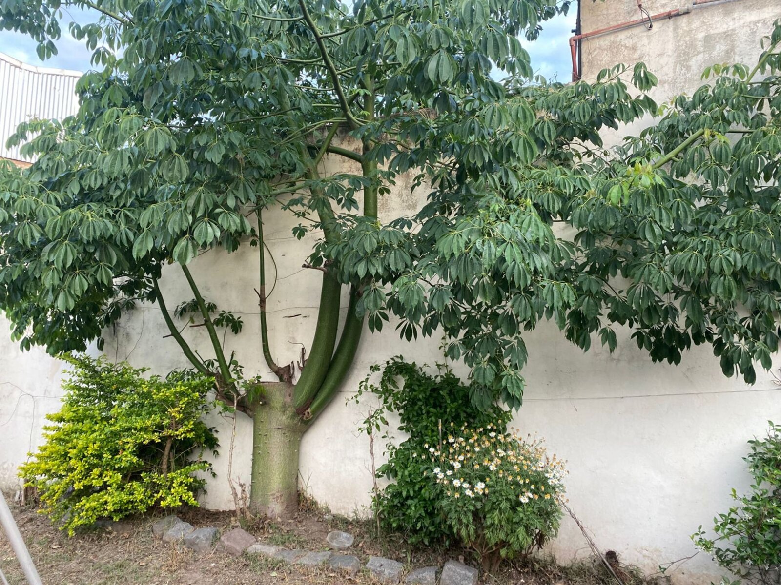 image 15
