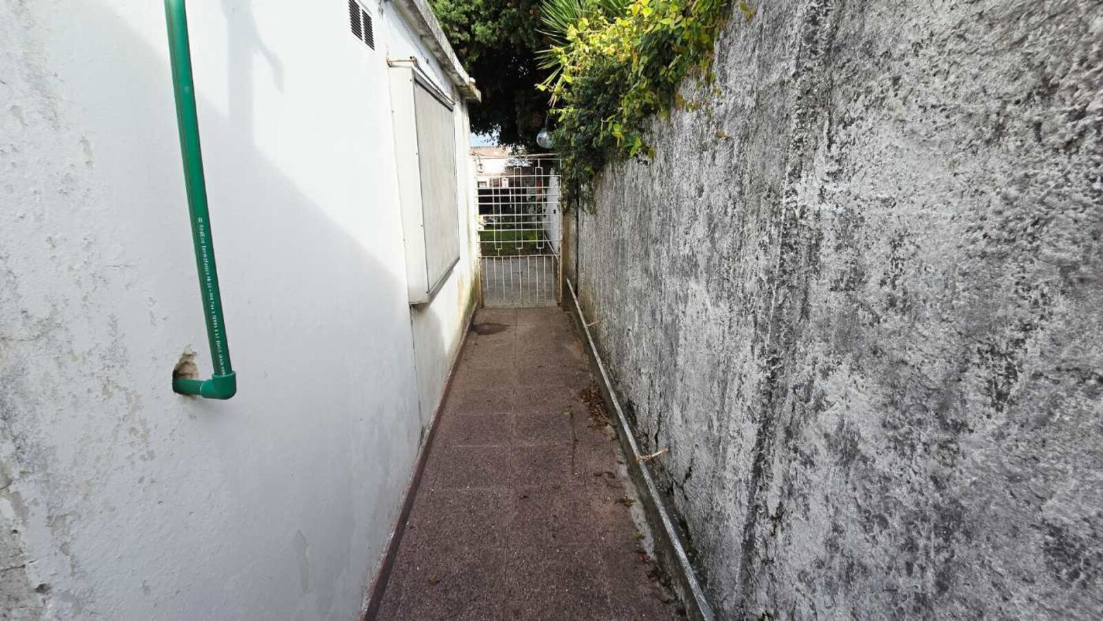 image 25