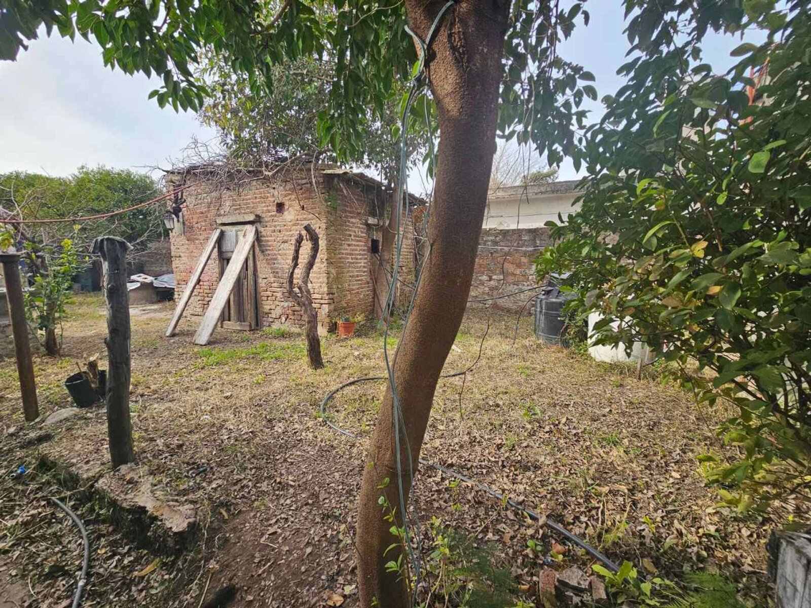 image 60