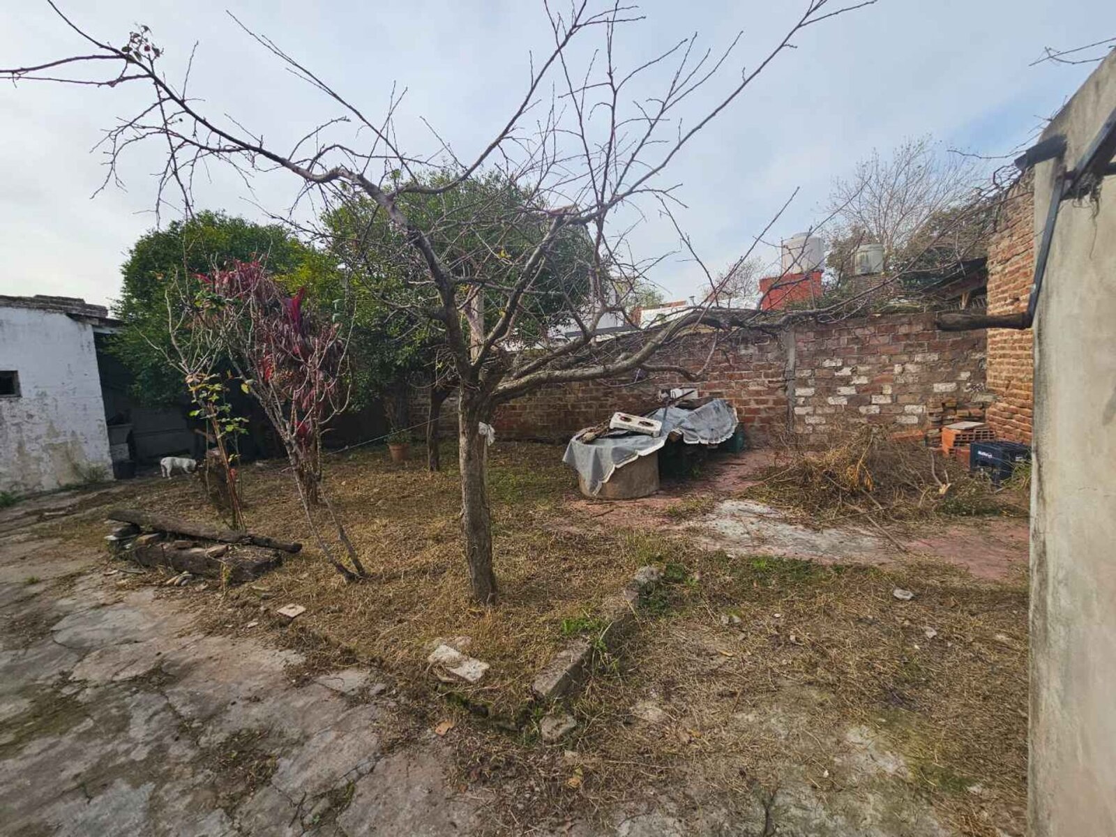 image 62