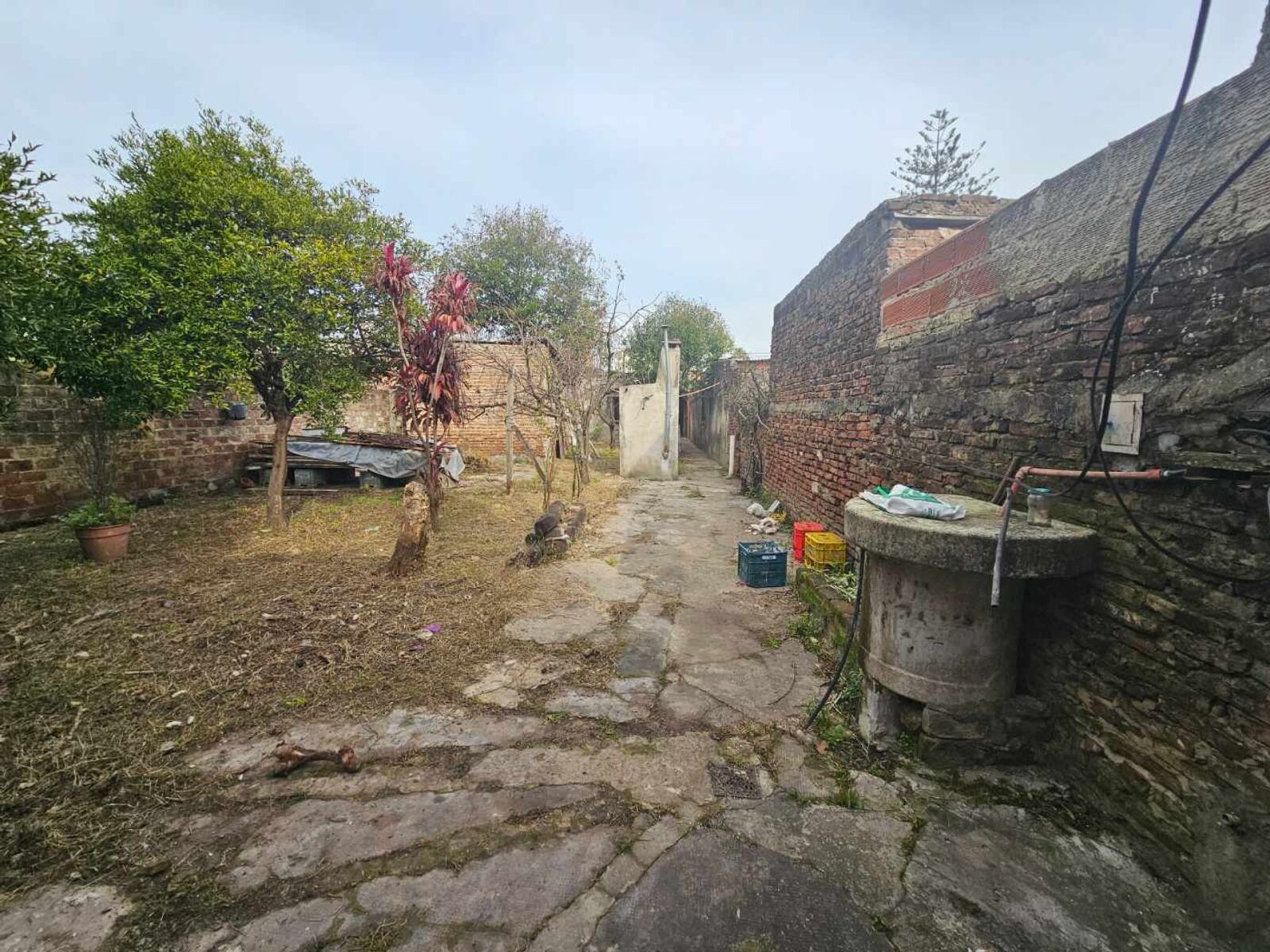 image 67