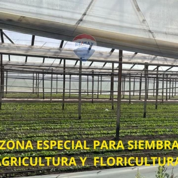 CAMPO EN VENTA 4 HECTARIAS ABASTO LA PLATA CHACRA