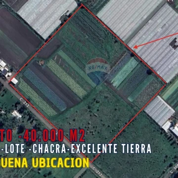 LOTES EN VENTA 4 HECTARIAS ABASTO LA PLATA CAMPO