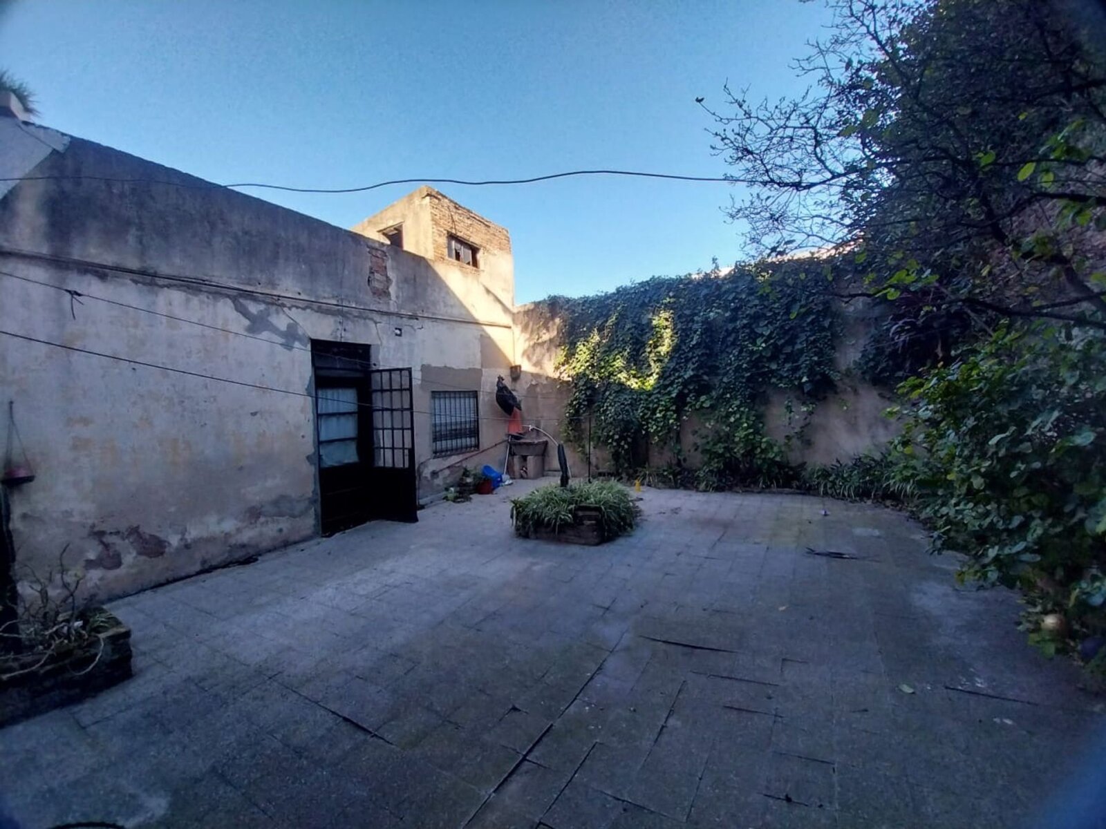 image 21