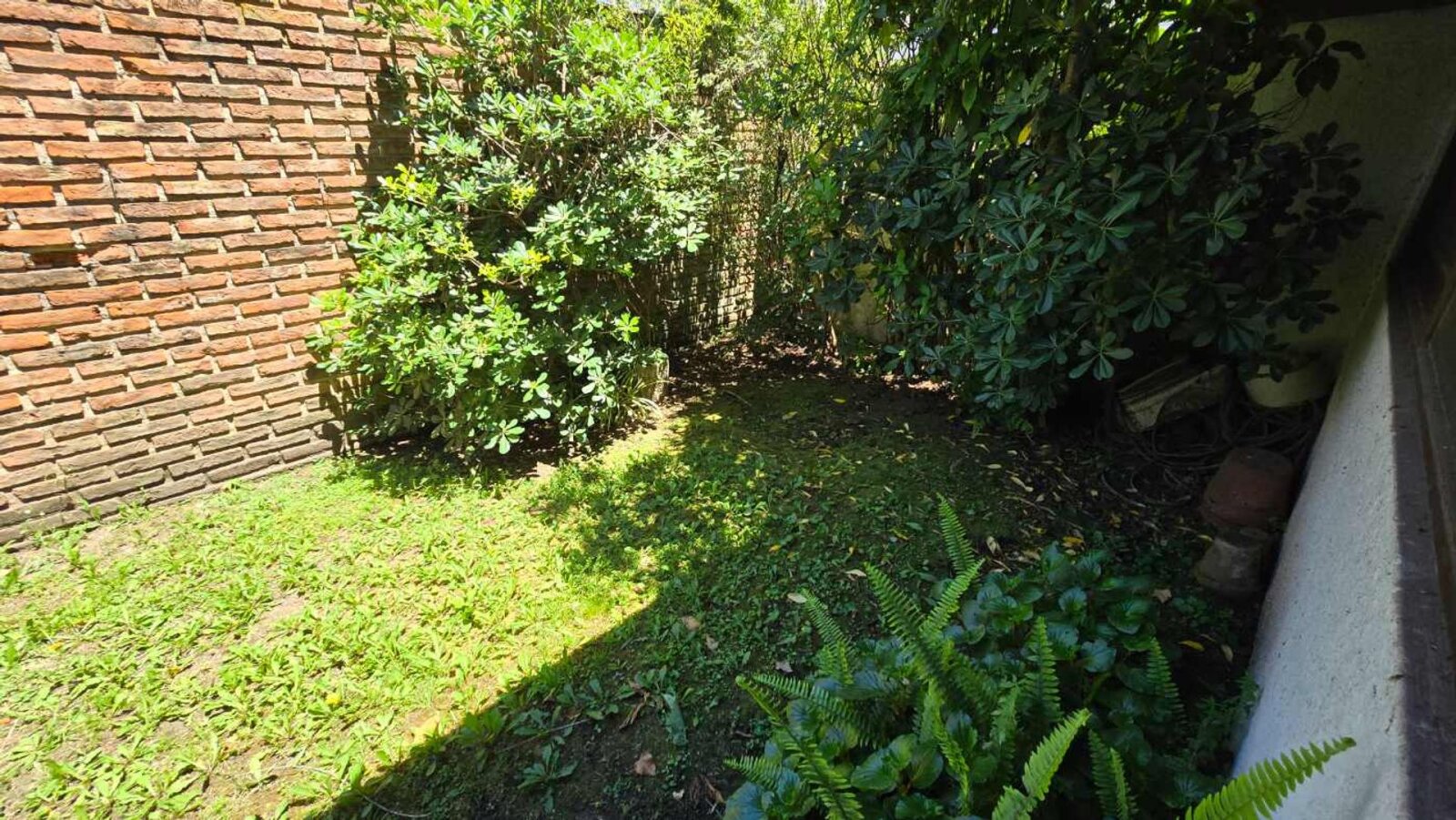 image 28