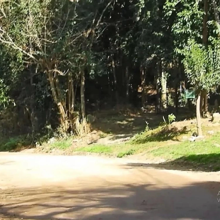 Venta de Terreno en  Rio Ceballos.