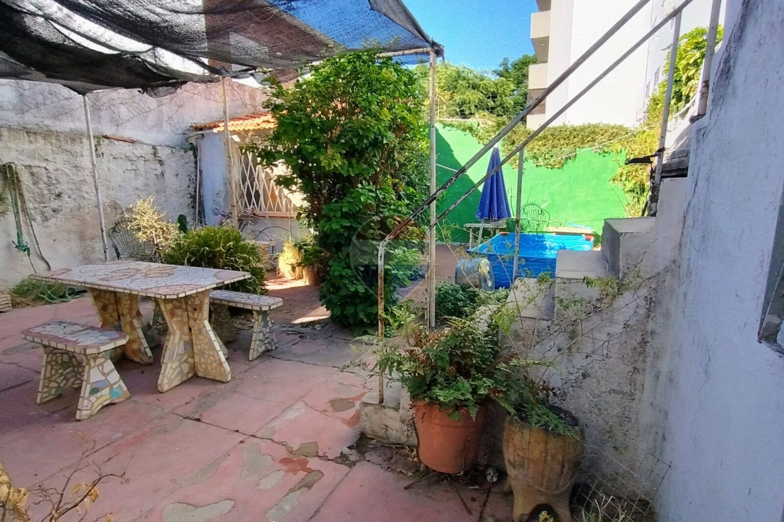 image 29