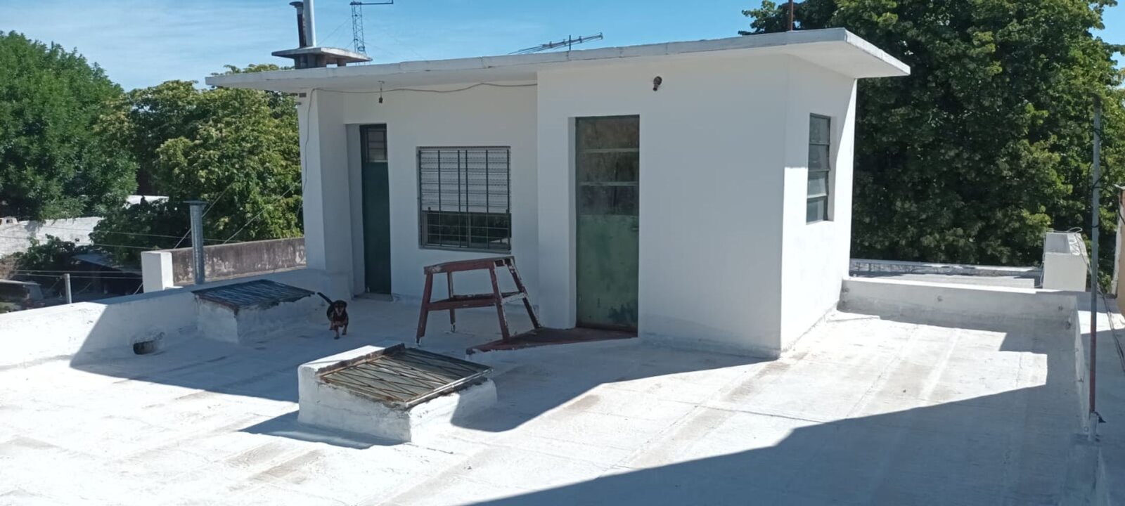 image 13