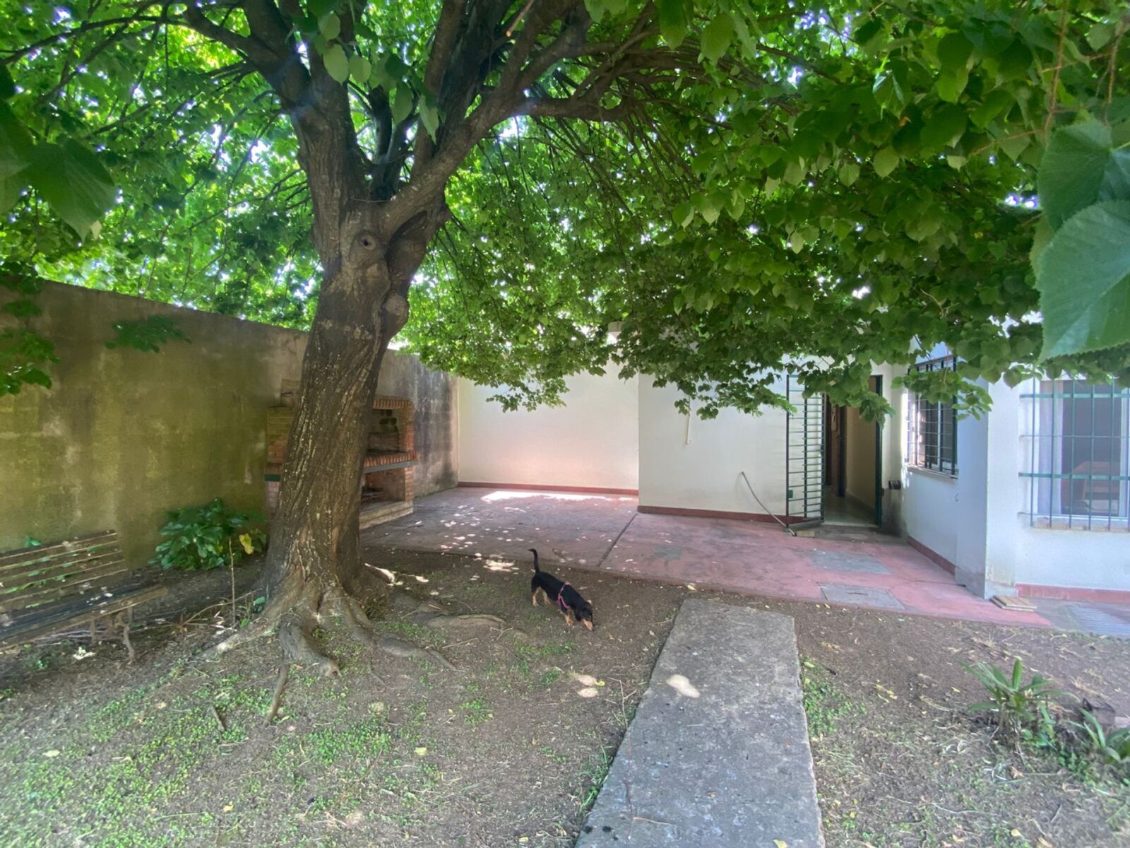 image 18