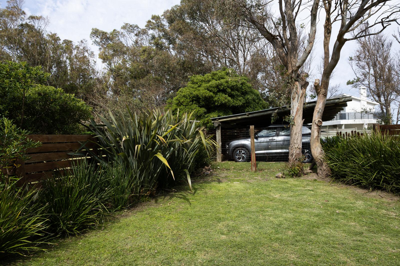 image 38