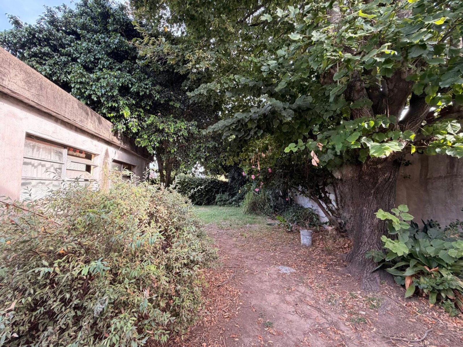 image 23